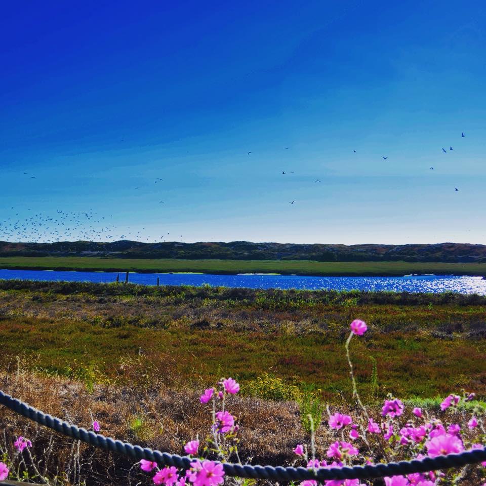 Captain's Inn at Moss Landing Cozy B&B Moss Landing, CA