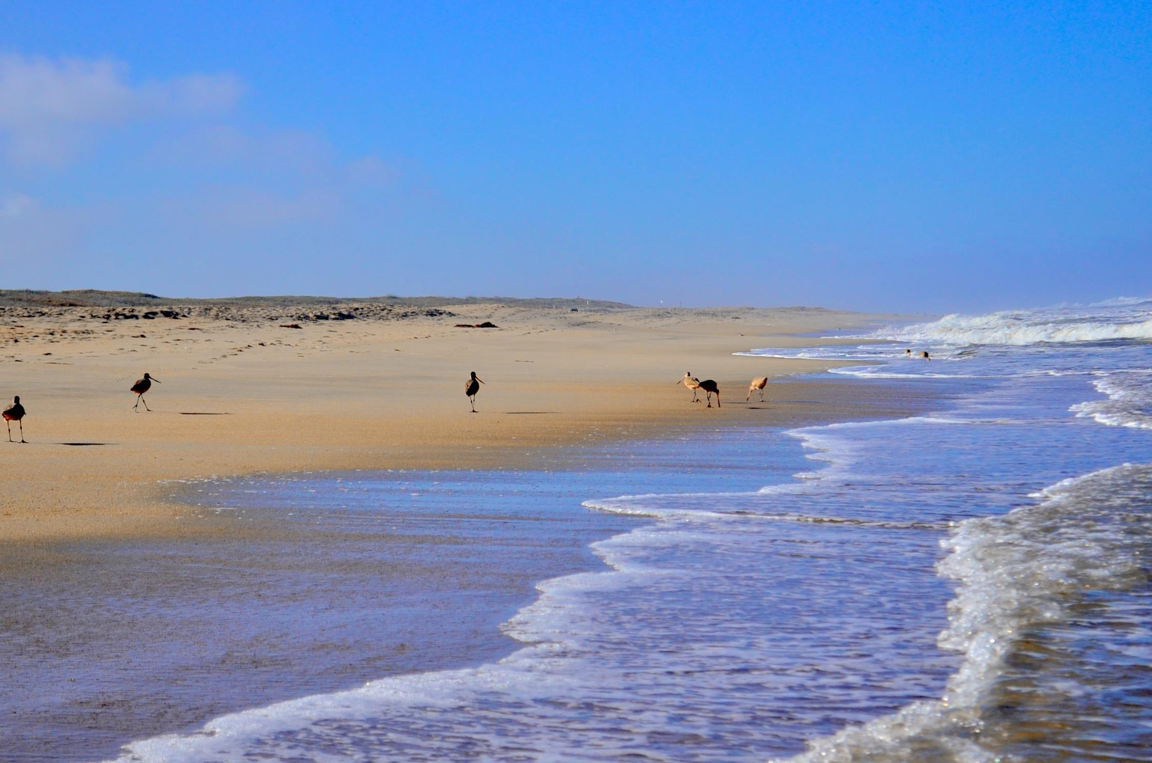 Captain's Inn at Moss Landing Cozy B&B Moss Landing, CA