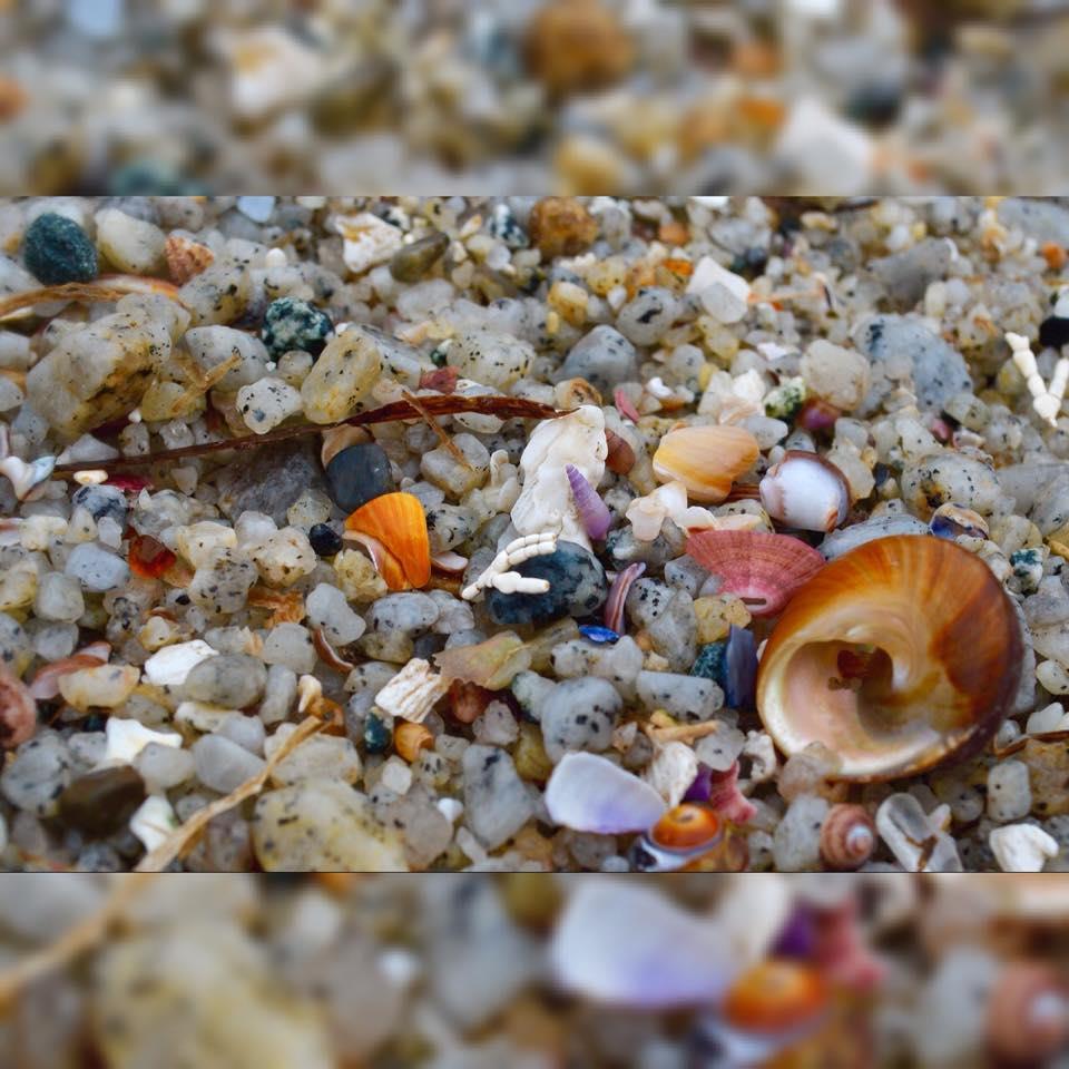 Captain's Inn at Moss Landing Cozy B&B Moss Landing, CA